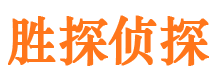 龙川侦探公司